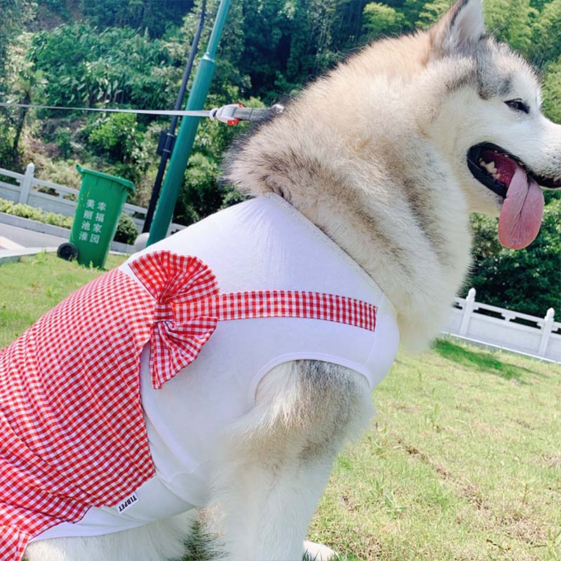 Plaid Princess Dog Costume For Large Breeds