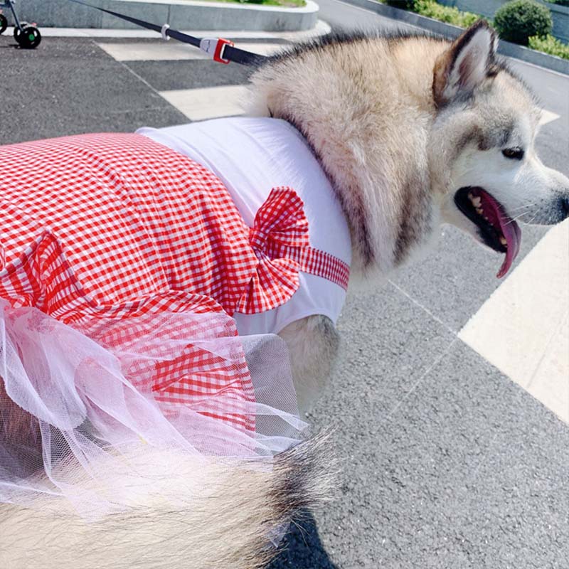 Plaid Princess Dog Costume For Large Breeds
