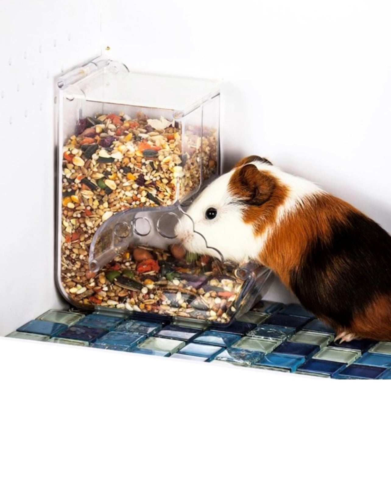 Transparent and Adjustable Food Dispenser For Hamsters