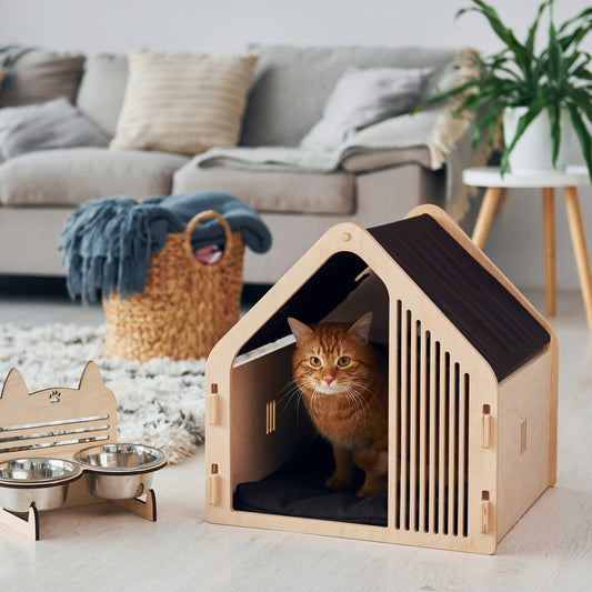 Choosing the Perfect Pet Bed: A Guide to Pet Comfort