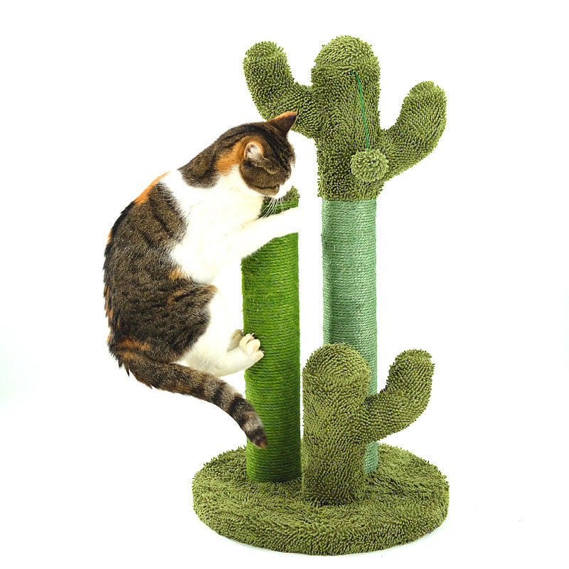 Cat and Kitten Scratching Climbing Cactus Tree Post