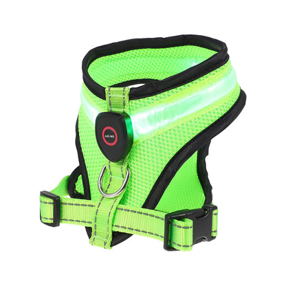 Rechargeable, LED Light-Up Mesh Dog Harness