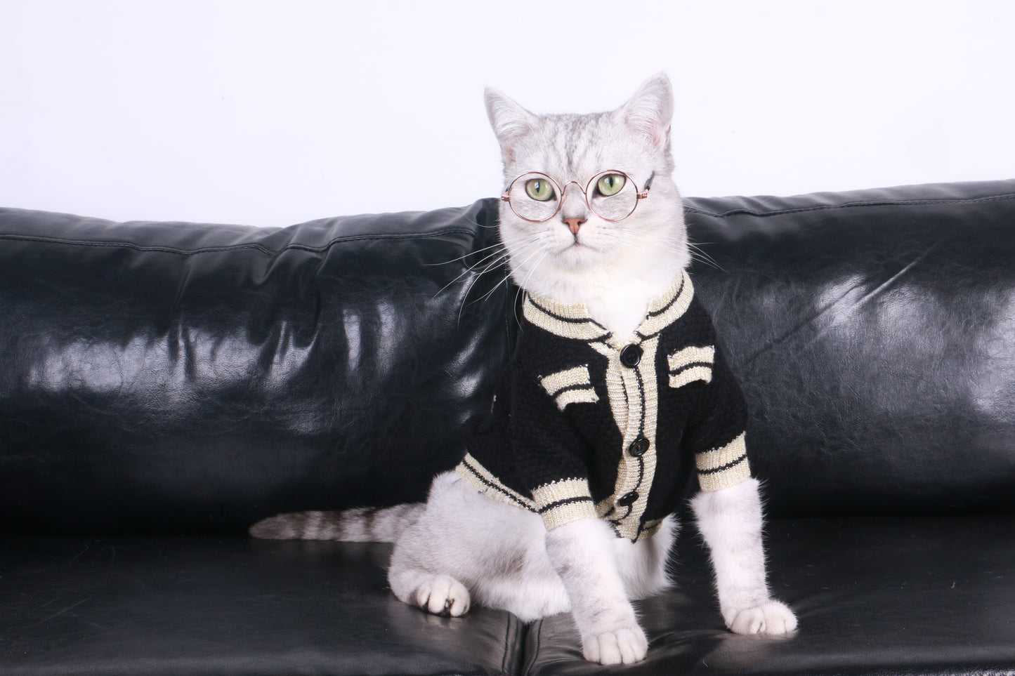 Cat Front Button Cardigan