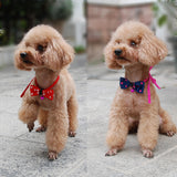 Fashionable Dog and Cat Bow Ties