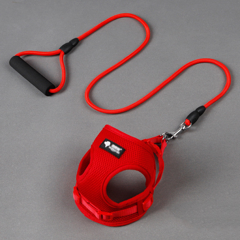 Mesh Collar Foam Handle Dog Leash