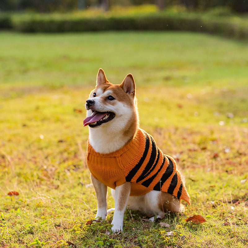 Halloween Pumpkin Sweater Vests For Dogs