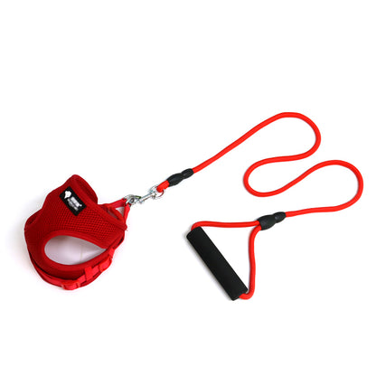 Mesh Collar Foam Handle Dog Leash