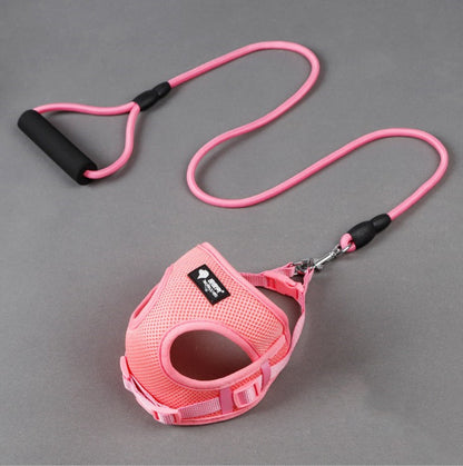 Mesh Collar Foam Handle Dog Leash