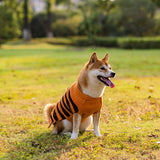 Halloween Pumpkin Sweater Vests For Dogs