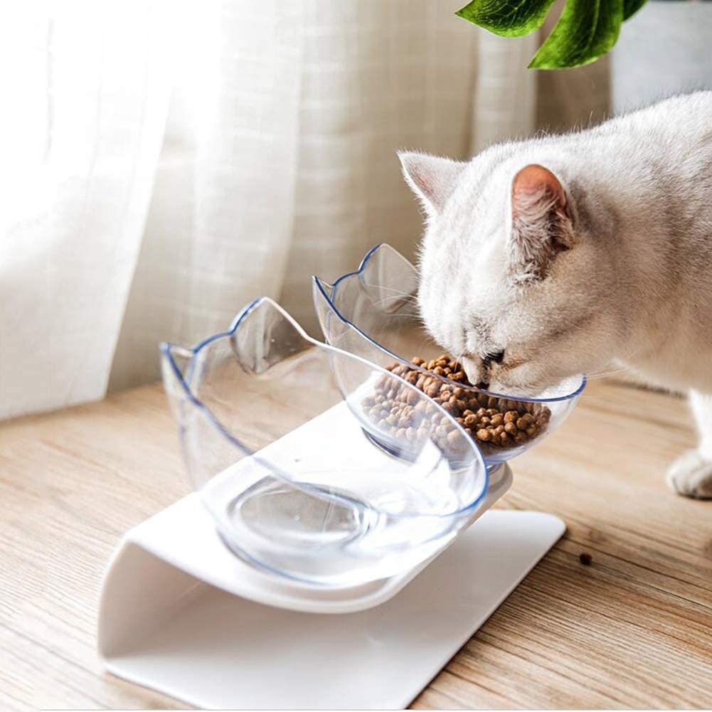 Elevated Food Bowl and Stand For Cats