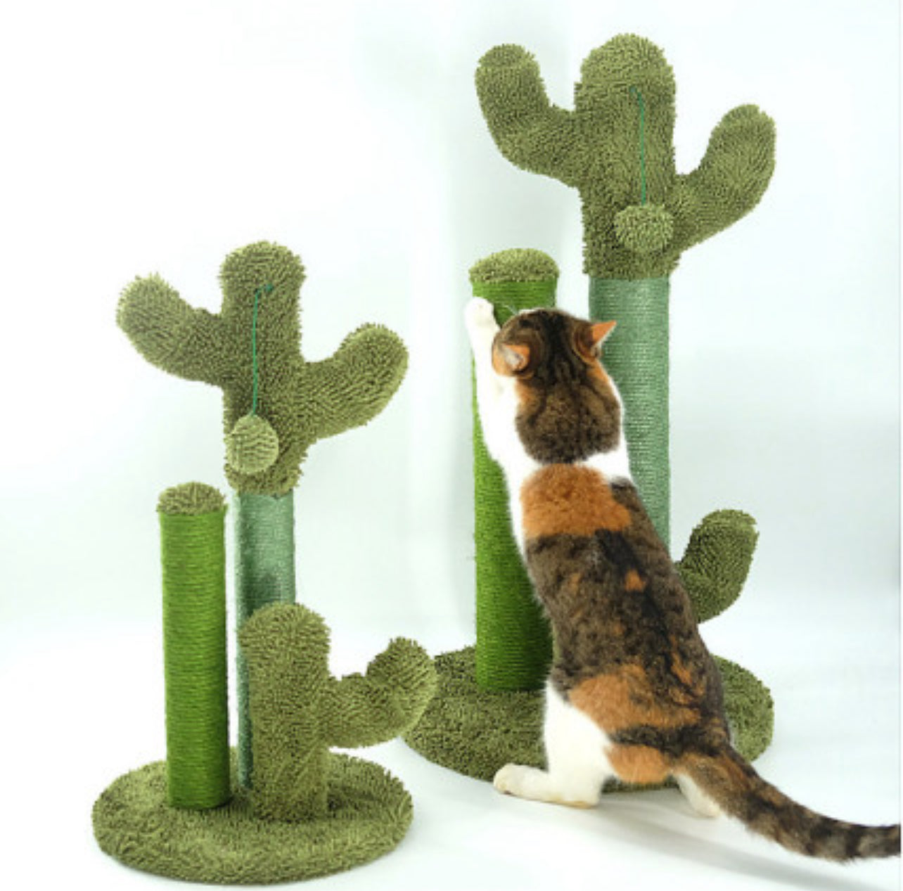 Cat and Kitten Scratching Climbing Cactus Tree Post