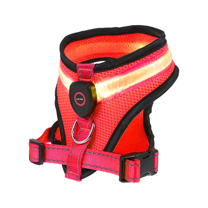 Rechargeable, LED Light-Up Mesh Dog Harness