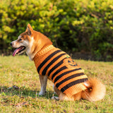 Halloween Pumpkin Sweater Vests For Dogs