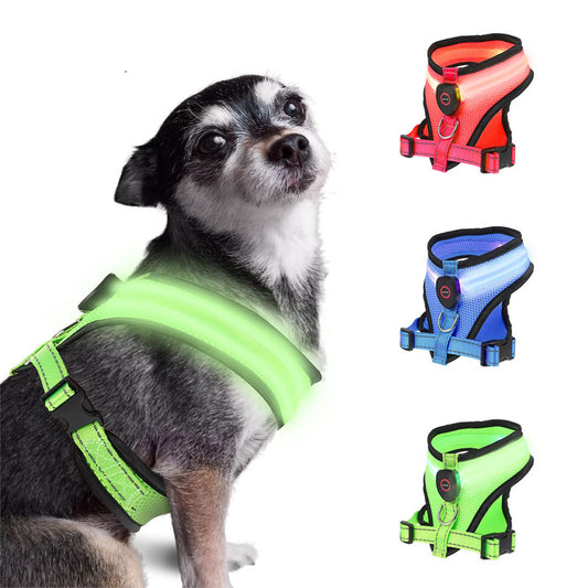 Rechargeable, LED Light-Up Mesh Dog Harness