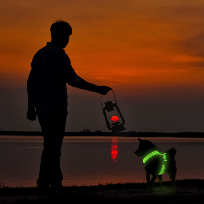 Rechargeable, LED Light-Up Mesh Dog Harness